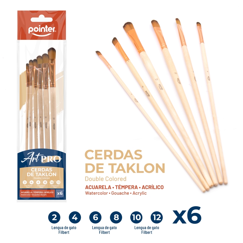 SET DE PINCELES x6 pzas