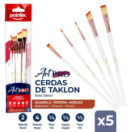 [BK0825] PINCELES ARTISTICOS X5