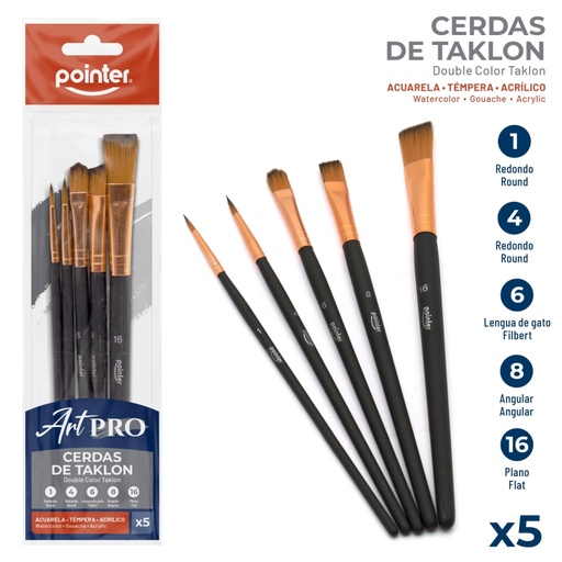 [AB-1010-02] SET DE PINCELES x 5 pzas