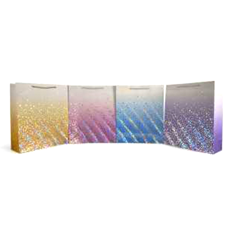 BOLSA DE REGALO TODO OCASION MEDIUM