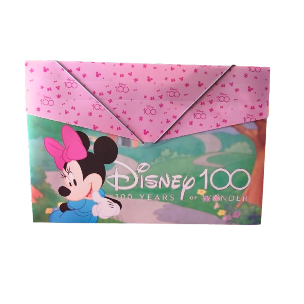 CARPETA PLASTIFICADA LIGA DISNEY