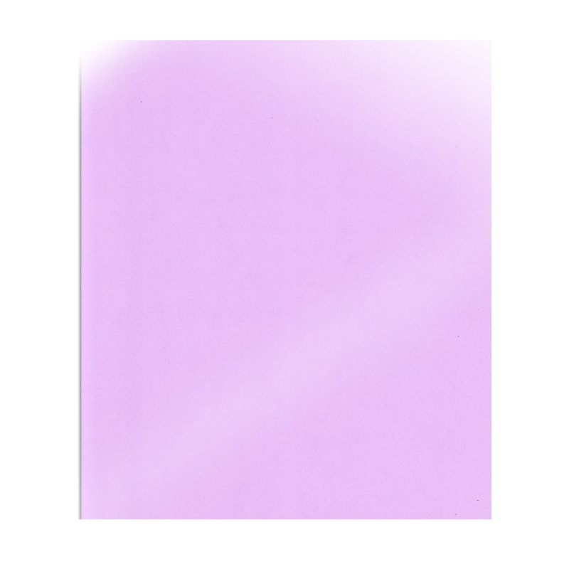 FOAMY LISO LILA ORQUEDEA - GRANDE 60x90CM