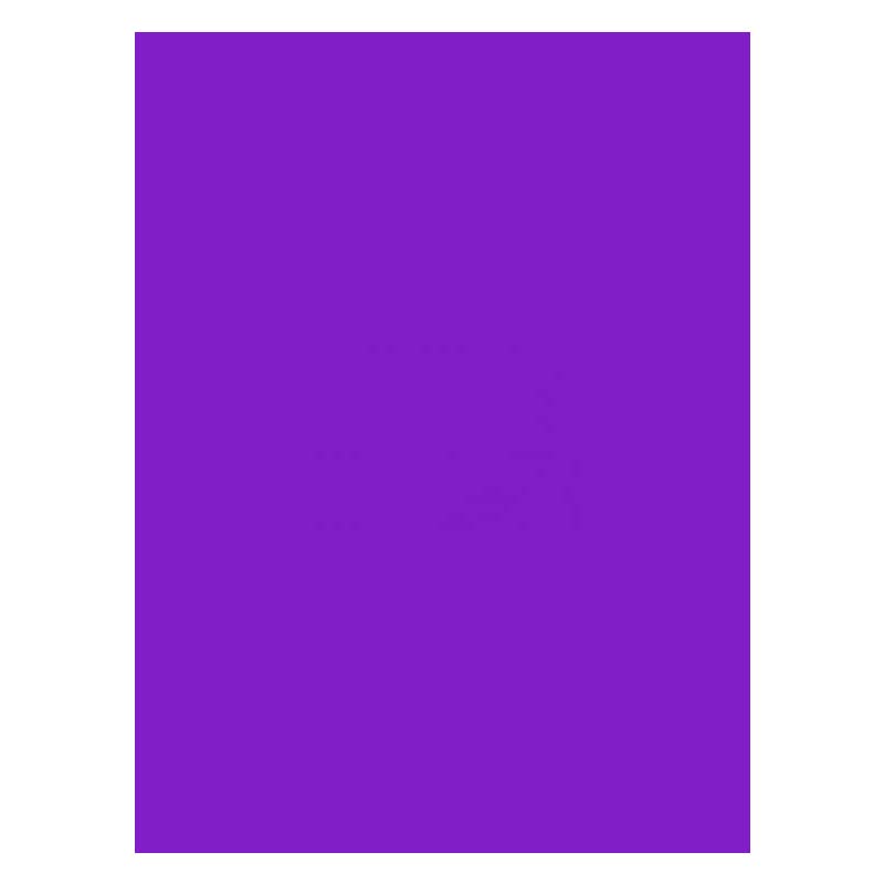 FOAMY LISO VIOLETA OBISPO - DOBLECARTA 30x40CM
