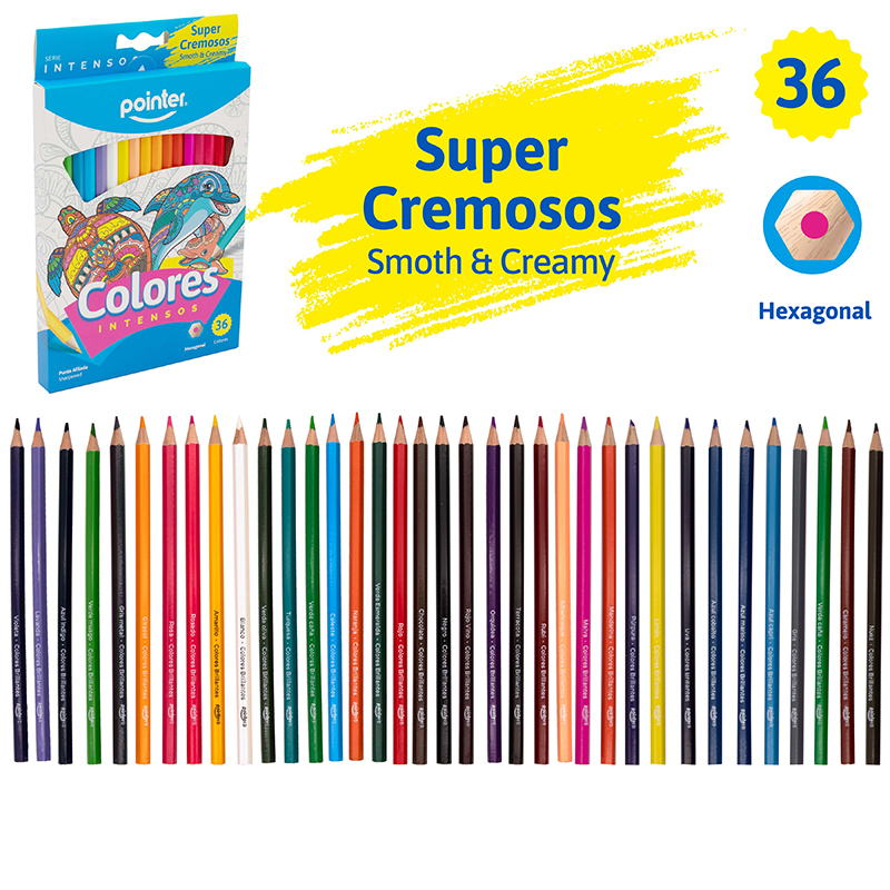 LAPICES DE COLORES x 36
