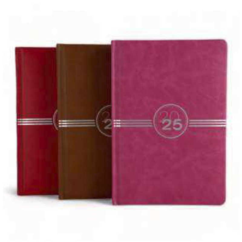 AGENDA DIARIA 2025 A5 - x180 HOJAS