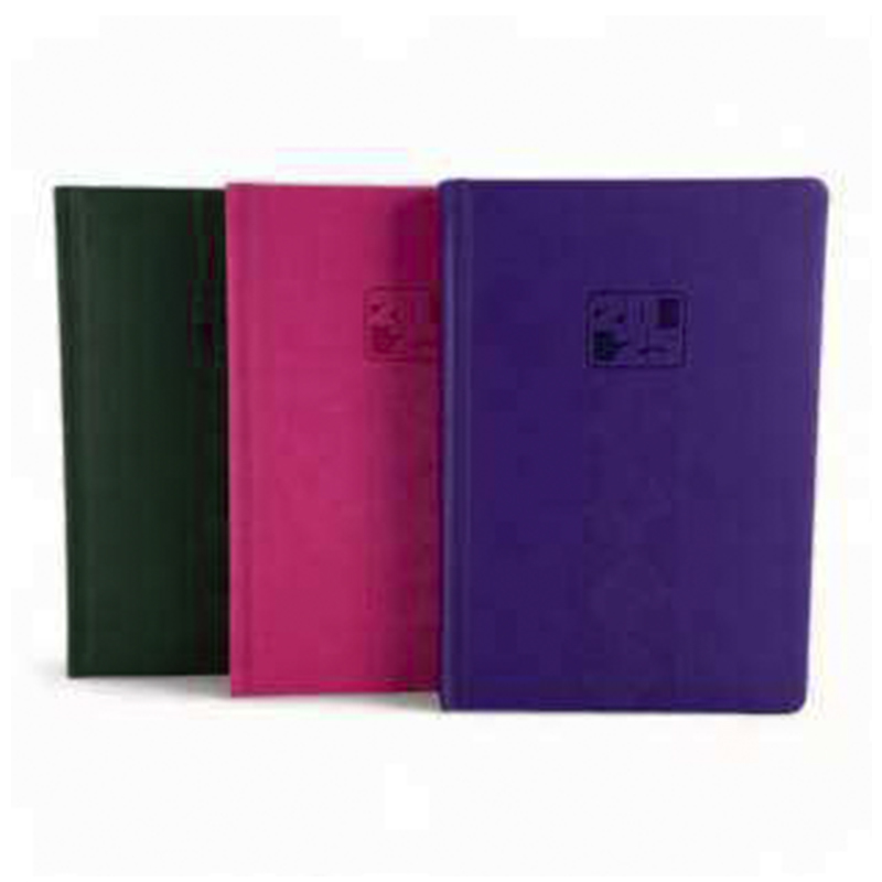 AGENDA DIARIA 2025 A5 - x184 HOJAS 