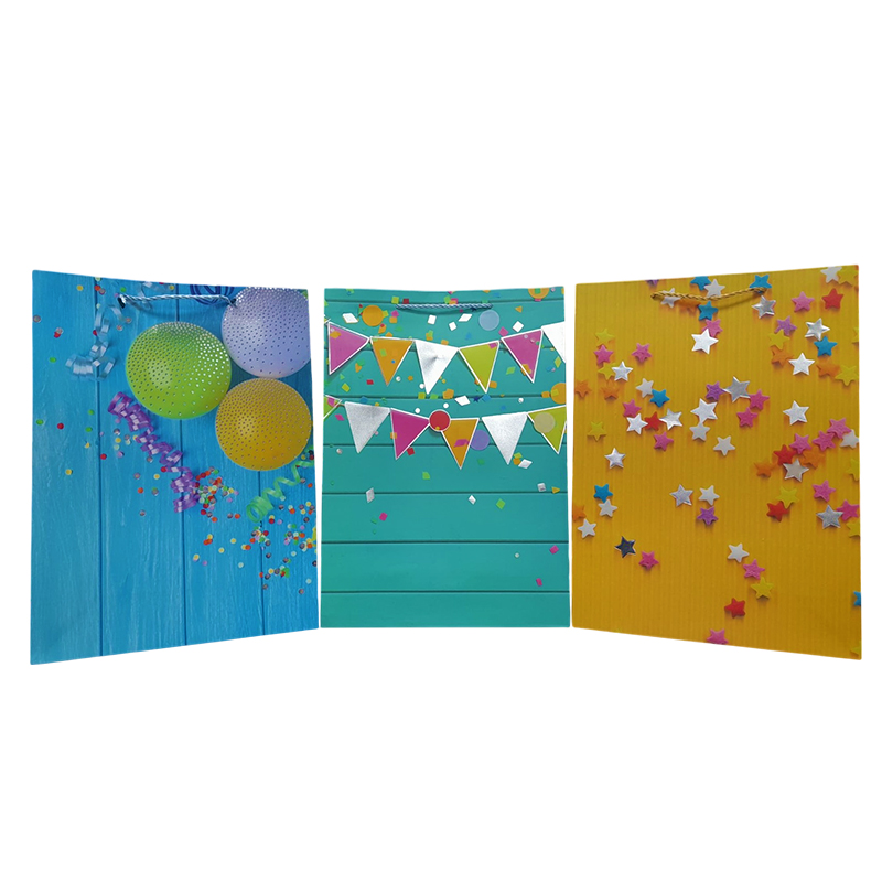 BOLSA DE REGALO TODO OCASION LARGE