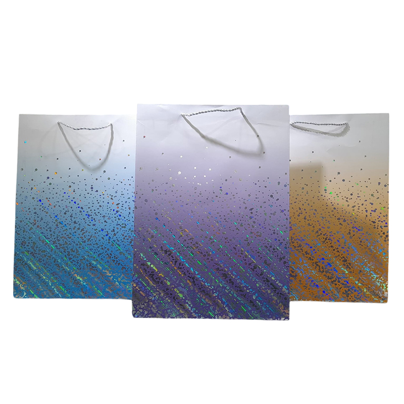 BOLSA DE REGALO TODO OCASION LARGE