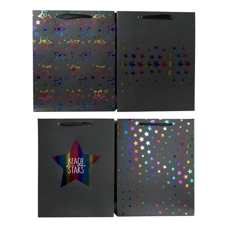 BOLSA DE REGALO EVERYDAY X12