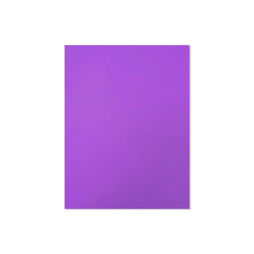 [41208.51] CARTULINA CARTA VIOLETA 220GR