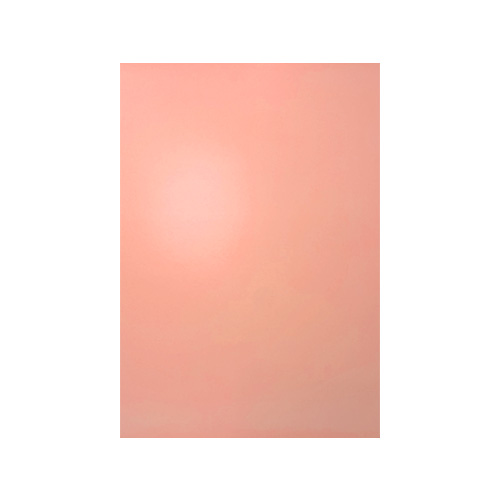 [14184331] CARTULINA DOBLE FAZ BICOLOR ROSADO PASTEL 50x70CM