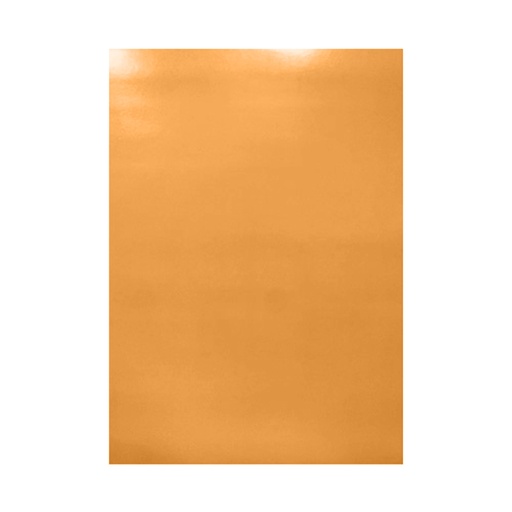 [190.2] CARTULINA DOBLE FAZ PIEL CATIRE 273GR-50X70CM