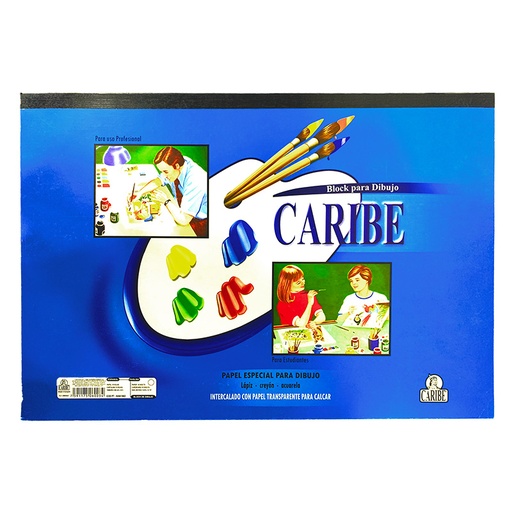 [N066196D] BLOCK DE DIBUJO ENCOLADO GRANDE 48x32.5cm