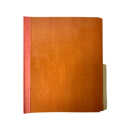 [050204] CARPETA PLASTIFICADA CARTA X25