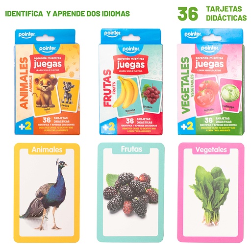 [PZZ-2384] CARTAS EDUCATIVAS
