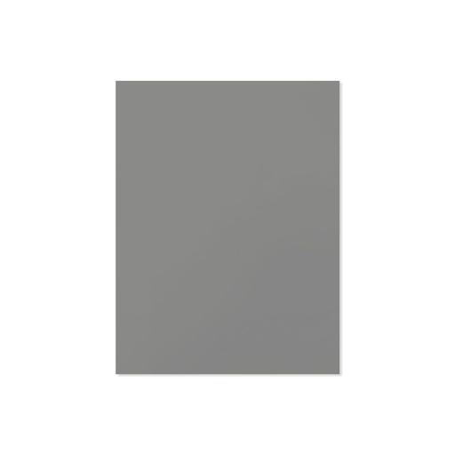 [41227.51] CARTULINA CARTA GRIS 220GR