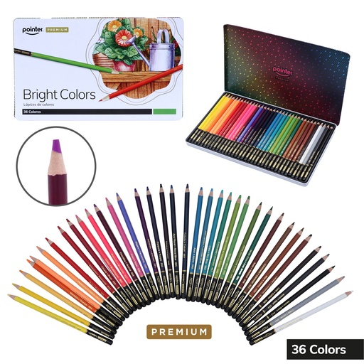 [ACP-36] COLORES POINTER PREMIUM x36 
