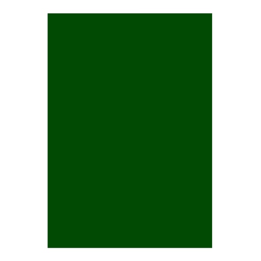 [20.2.690] FOAMY LISO VERDE NAVIDAD - GRANDE 60x90CM