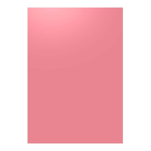 [40.2.6090] FOAMI LISO ROSADO BEBE GRANDE (60X80CM)