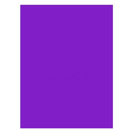 [67.2.3040] FOAMI LISO VIOLETA OBISPO DOBLECARTA (40X60CM)