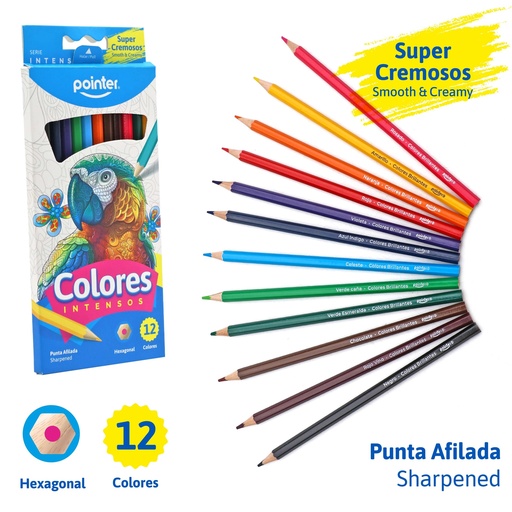 [BT-HCP-12] LAPICES DE COLORES