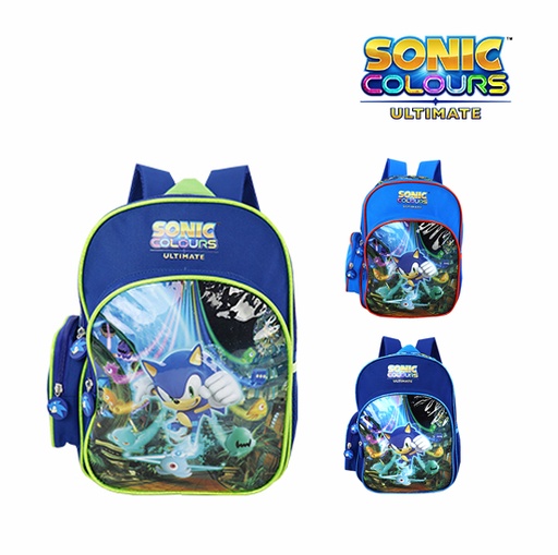 [42-34918] BOLSO SONIC