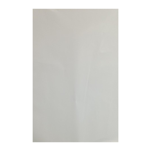 [PPGLASS] PAPEL GLASE 115G