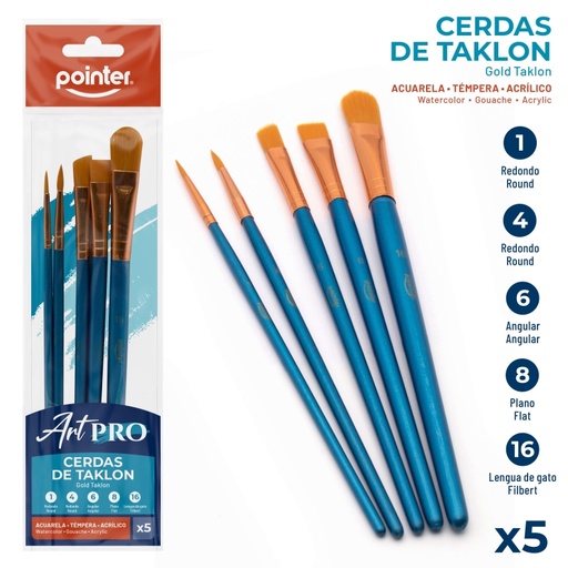 [AB-1010-17] SET DE PINCELES x5 pzas