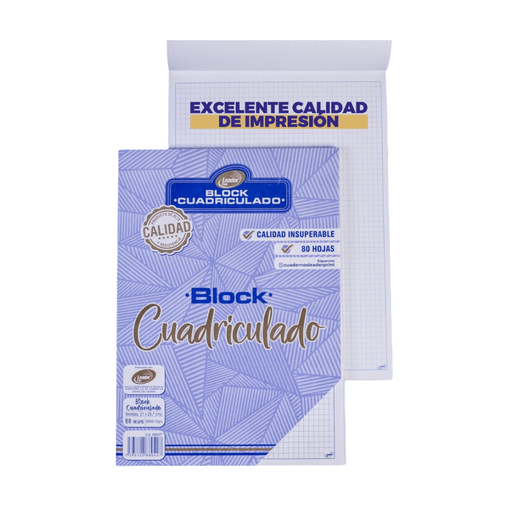 [840414] BLOCK CUADRICULADO 40 HOJAS
