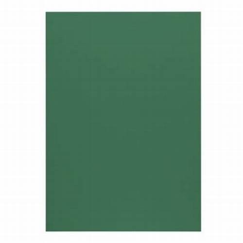 [CACT77VEOS] CARTULINA ESCOLAR VERDE OSCURO POINTER 50X70CM